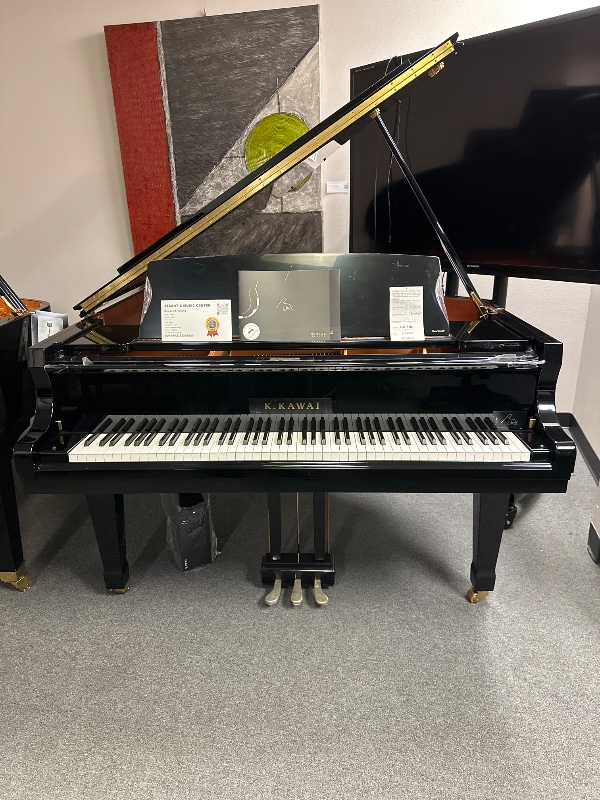 Additional image for Kawai GX3